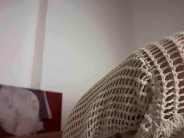 Larast webcam