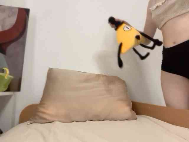 Larast webcam