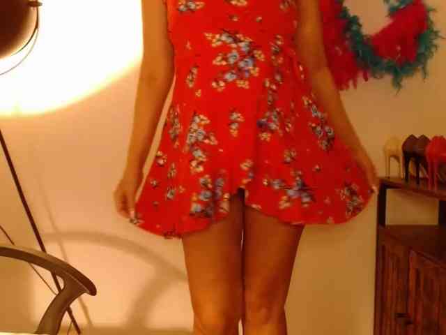 perfectLEA webcam