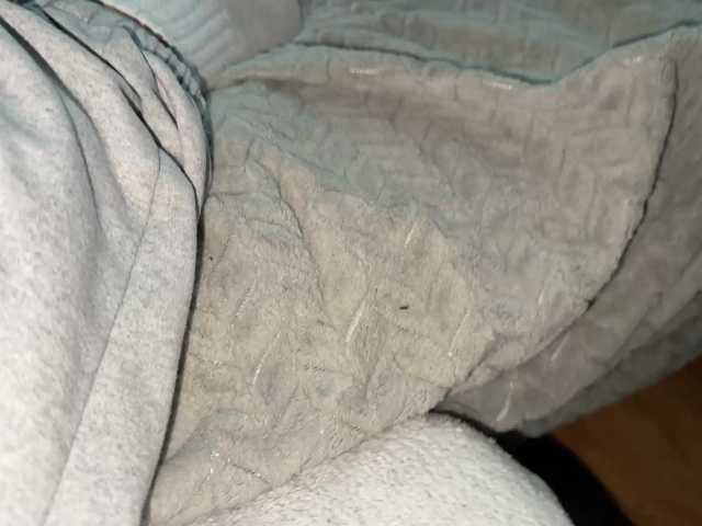 Kitysfeet