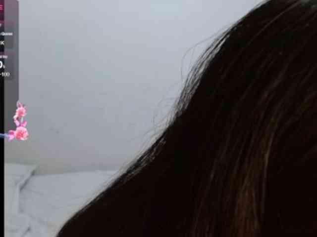 Julirosee webcam