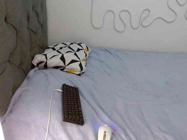 Julirosee webcam