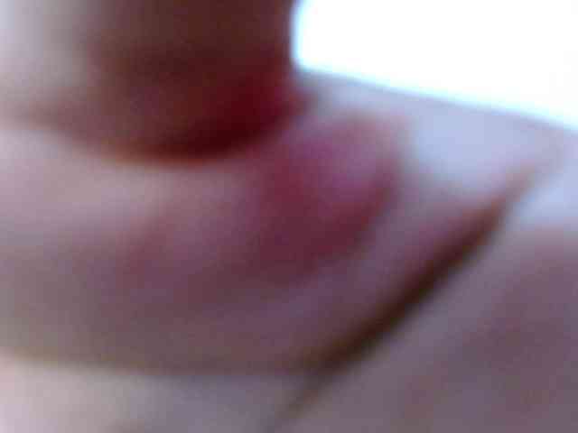 Julirosee