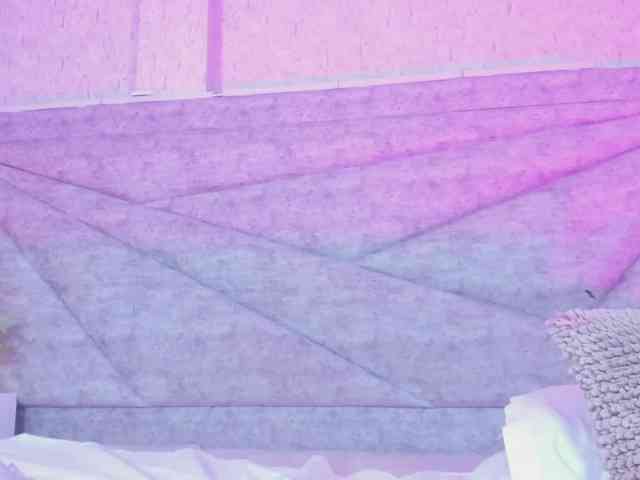 PaulaAlvarez webcam