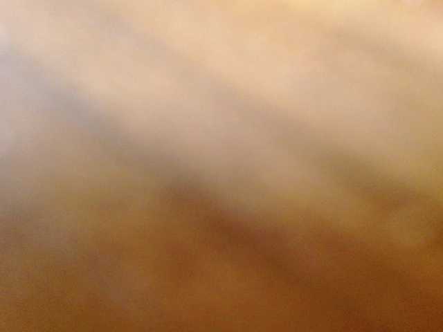 kathekitten live cam