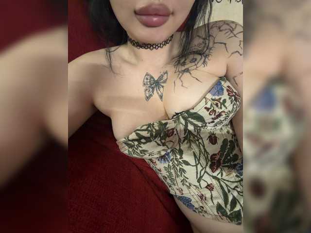 Kisa5678
