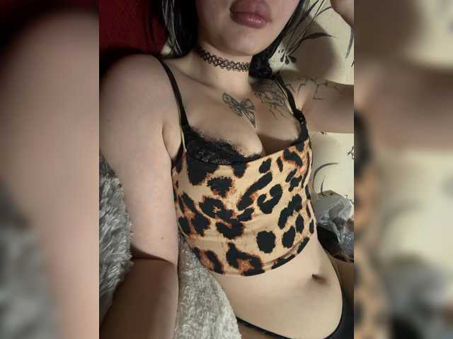Kisa5678