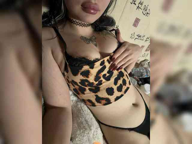 Kisa5678