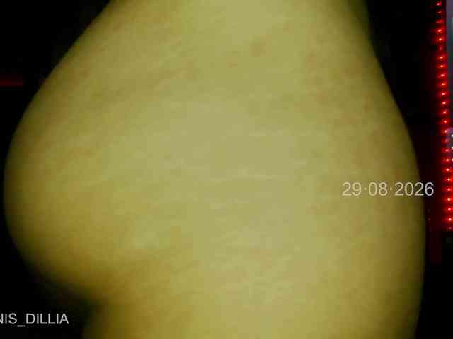 Dennisdillia2 webcam