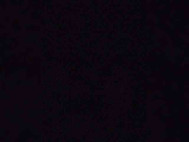 DanyaVika webcam