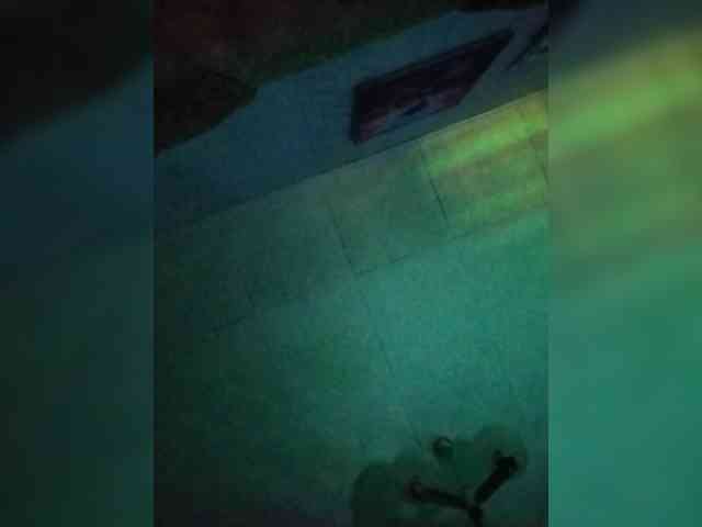DanyaVika webcam
