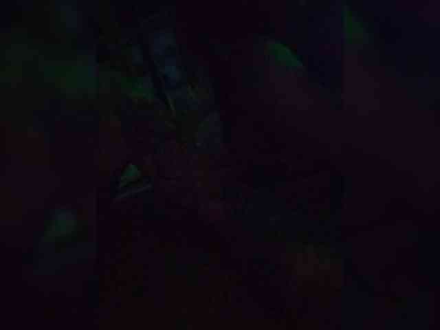 DanyaVika webcam