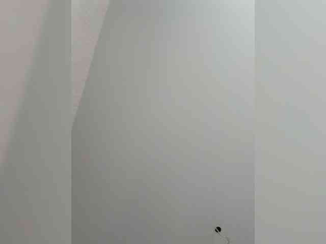 DENISA6 webcam