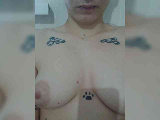 DENISA6 webcam