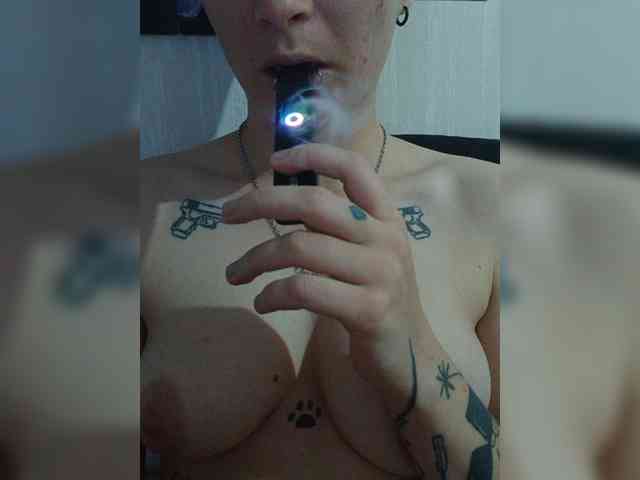 DENISA6 webcam