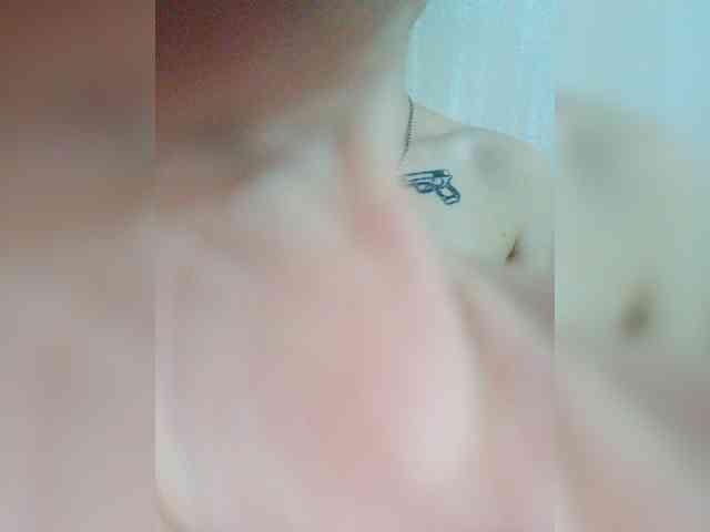 DENISA6 webcam