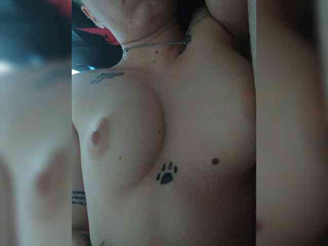 DENISA6 webcam