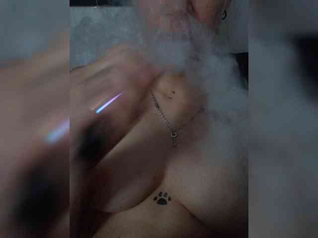 DENISA6 webcam