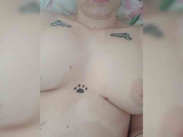 DENISA6 webcam