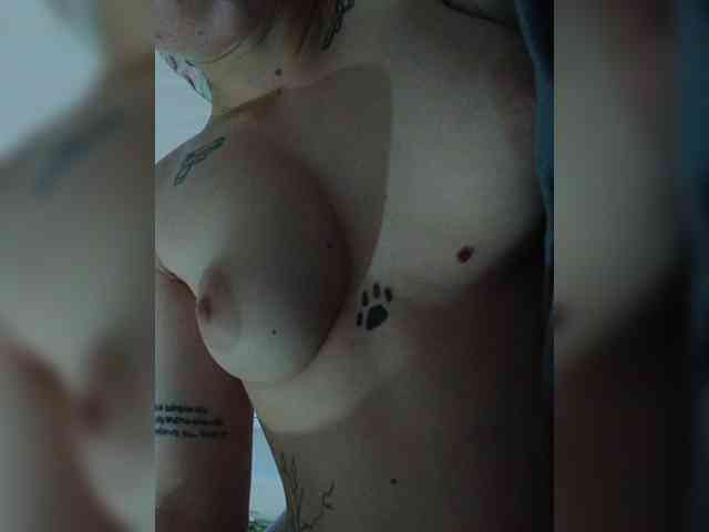 DENISA6 webcam
