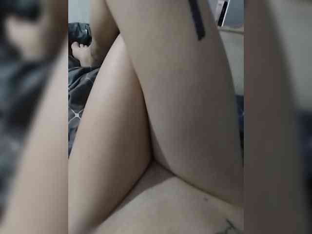 DENISA6 webcam
