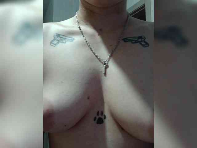 DENISA6 webcam