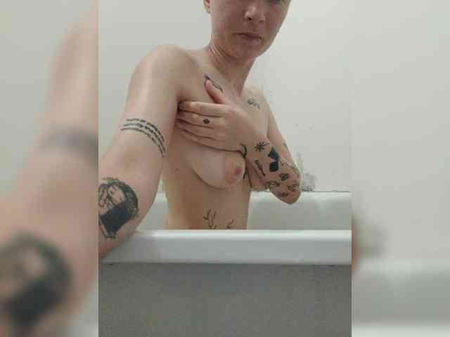 DENISA6 webcam