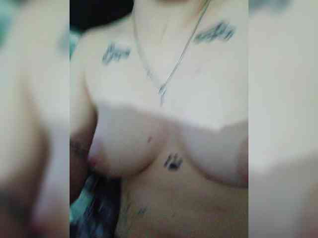 Modelo: DENISA6