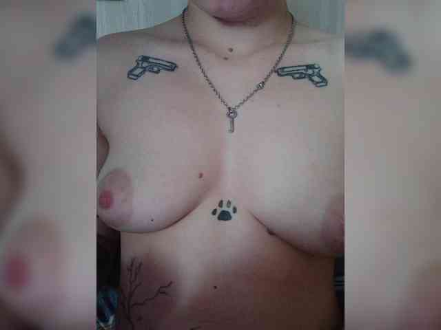 DENISA6 webcam