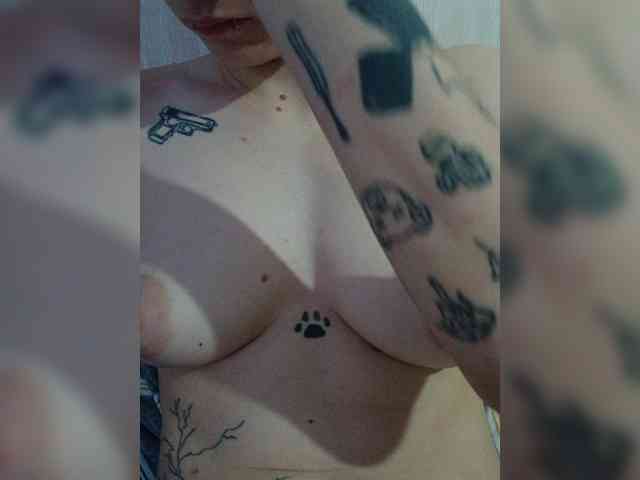 DENISA6 webcam