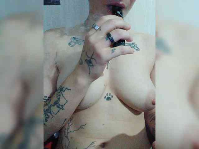 DENISA6 webcam