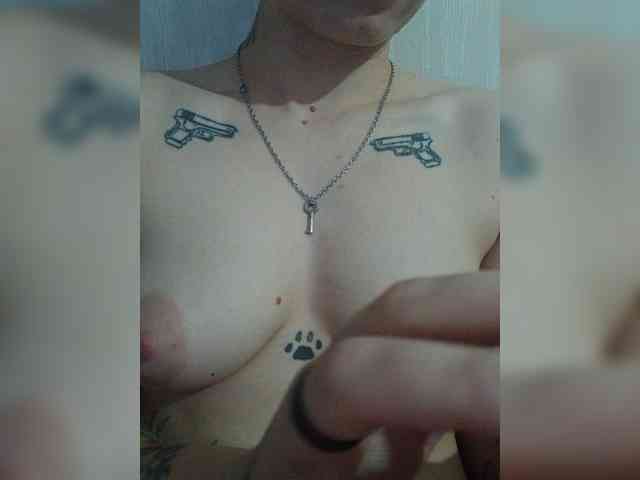 DENISA6 webcam