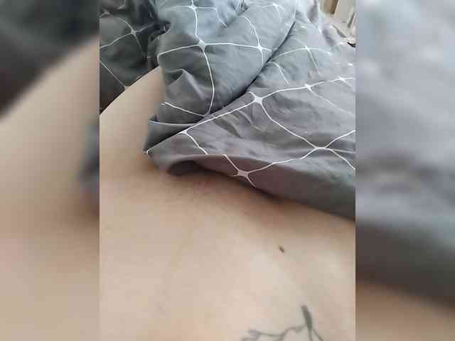 DENISA6 webcam
