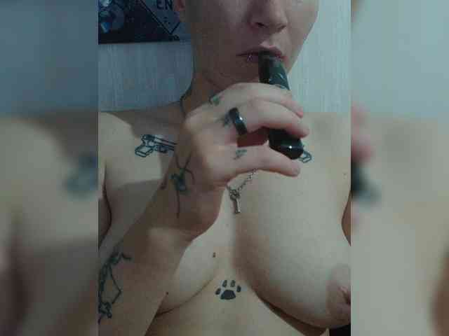 DENISA6 DENISA6