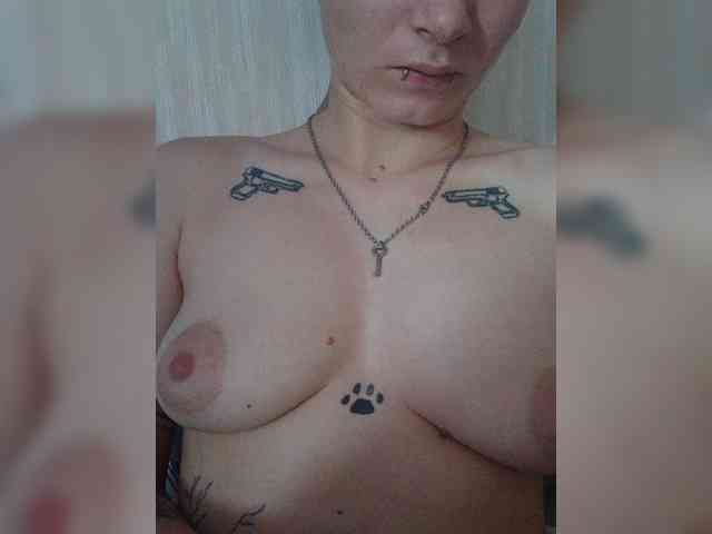 DENISA6 webcam