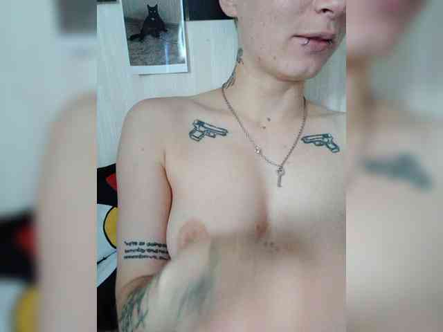 DENISA6 webcam
