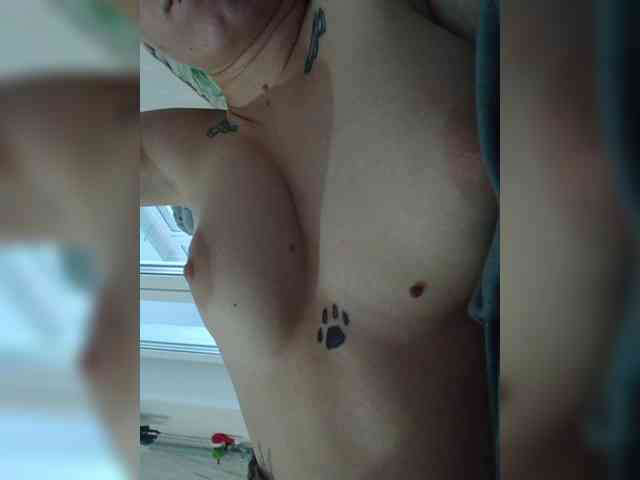 DENISA6 webcam