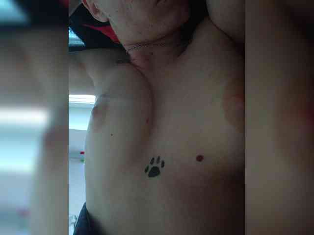 DENISA6 webcam