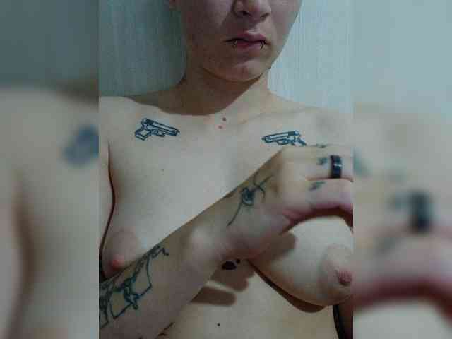 DENISA6 webcam