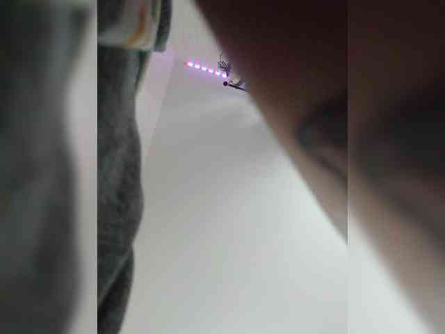 DENISA6 webcam