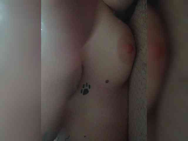 DENISA6 webcam