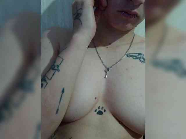 DENISA6 webcam