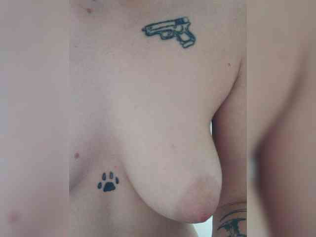 DENISA6 webcam
