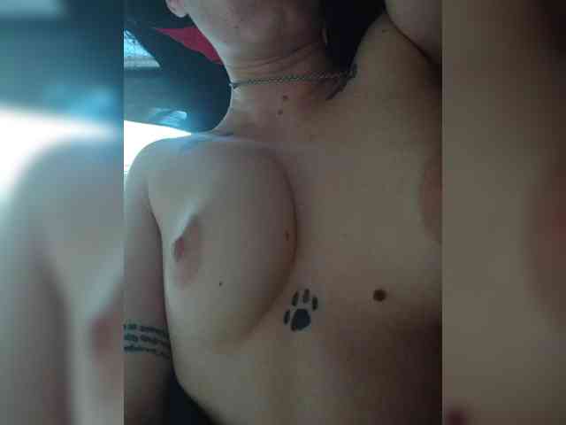 DENISA6 webcam