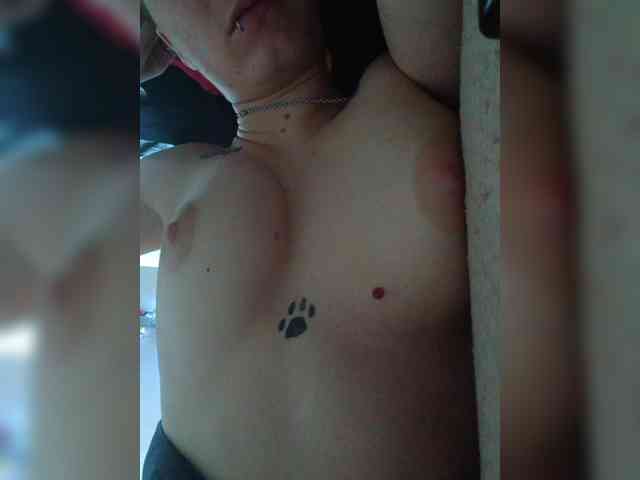 DENISA6 webcam
