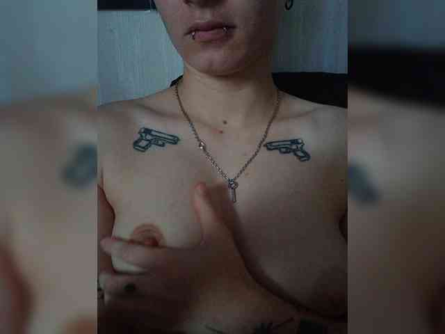 DENISA6 webcam