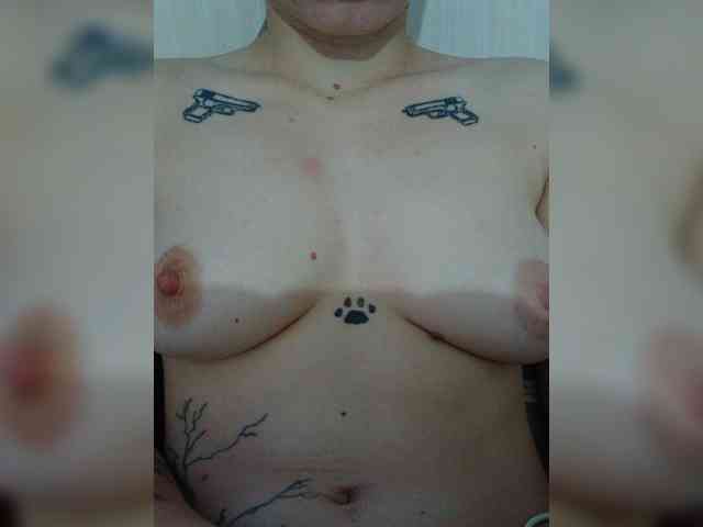 DENISA6 webcam