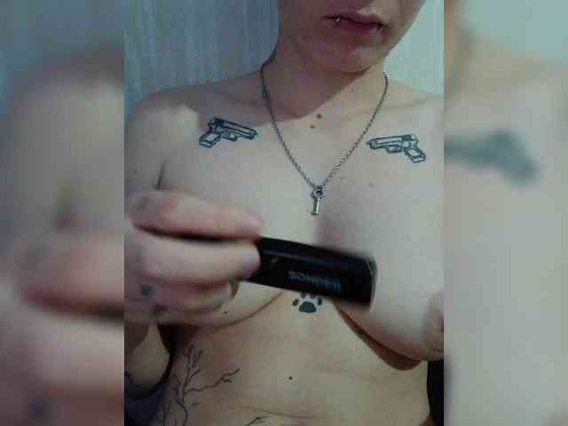 DENISA6 webcam