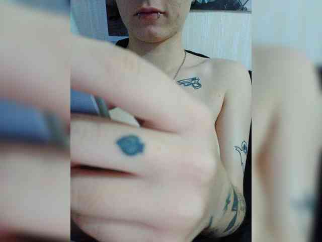 DENISA6 webcam