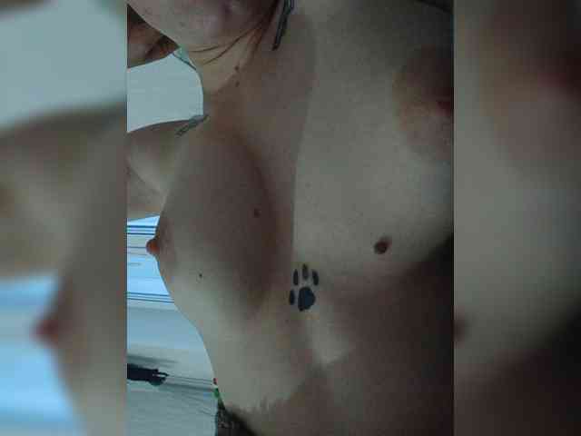 DENISA6 webcam